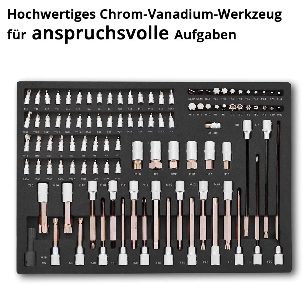 werkzeugeinlage-102-teiliges-steckschluessel-bit-set~2.webp