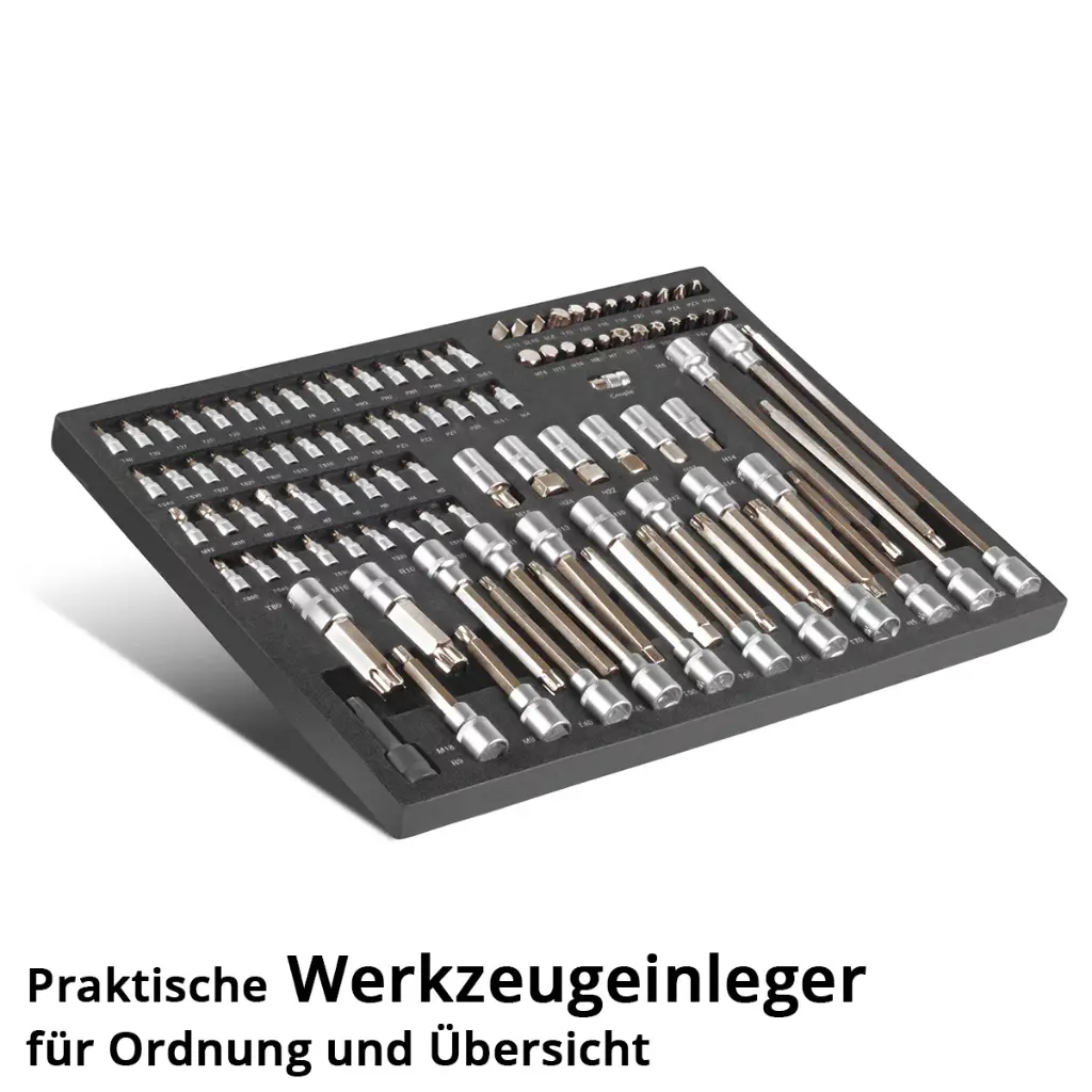 werkzeugeinlage-102-teiliges-steckschluessel-bit-set~3.webp