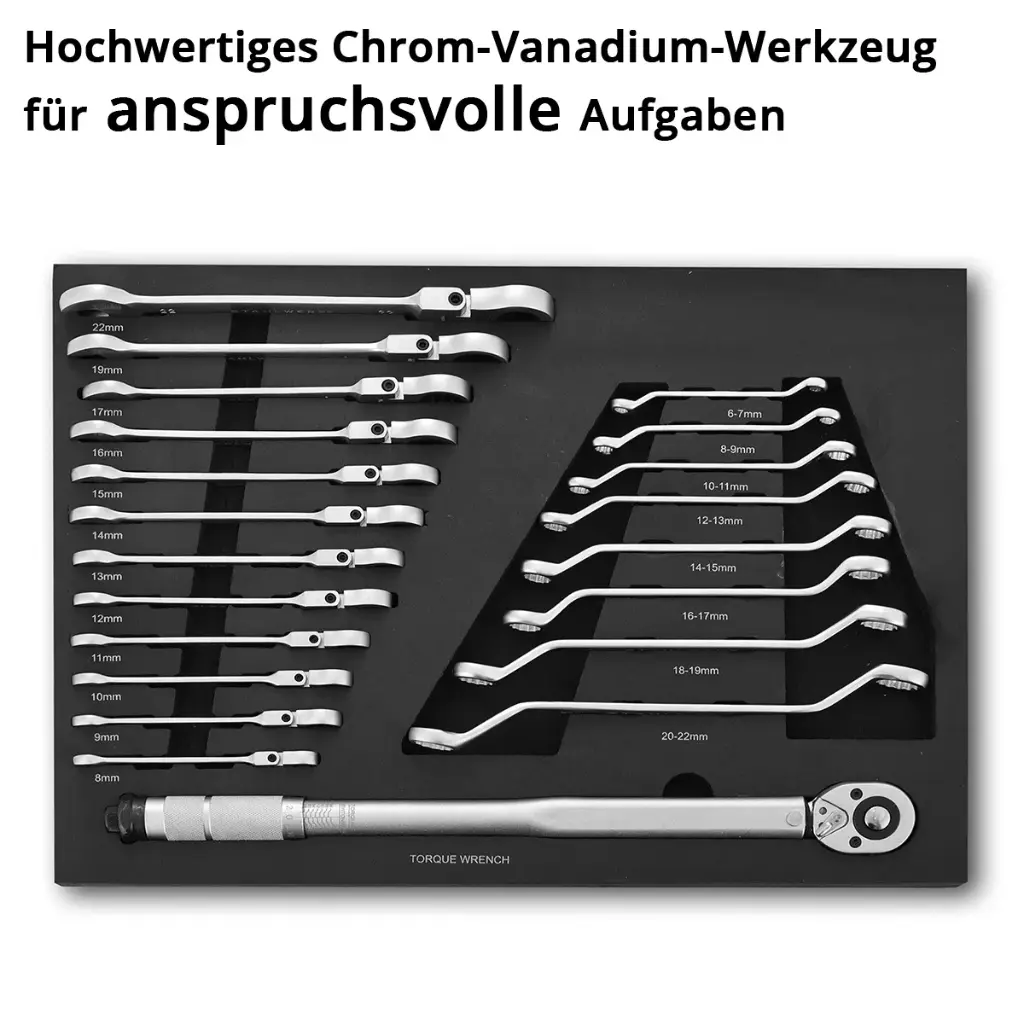 werkzeugeinlage-21-teiliger-schraubenschluessel-satz-drehmomentratsche~2.webp