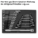 werkzeugeinlage-21-teiliger-schraubenschluessel-satz-drehmomentratsche~2.webp