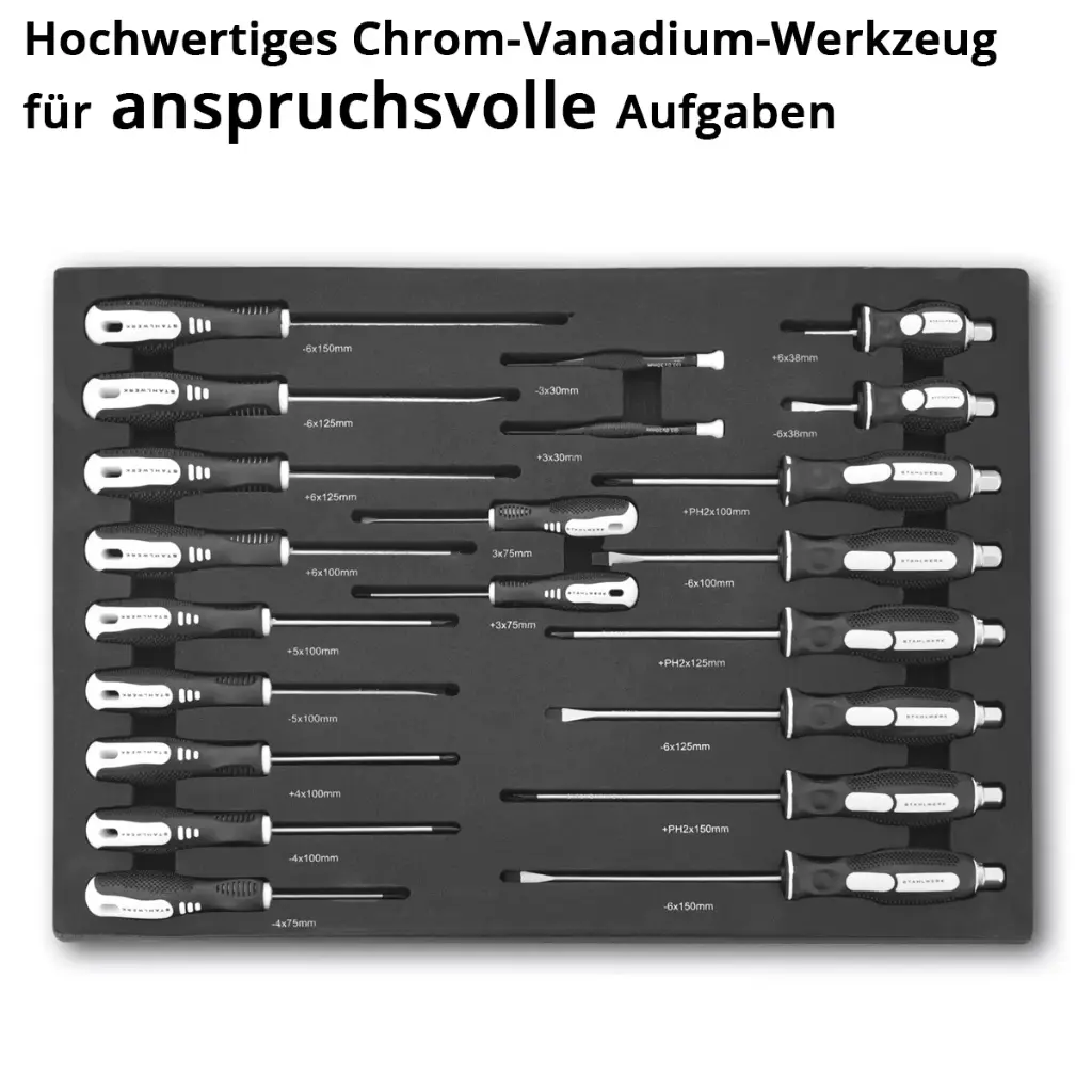 werkzeugeinlage-21-teiliger-schraubendreher-satz~2.webp