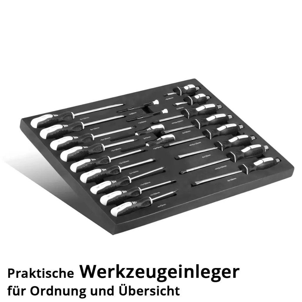 werkzeugeinlage-21-teiliger-schraubendreher-satz~3.webp