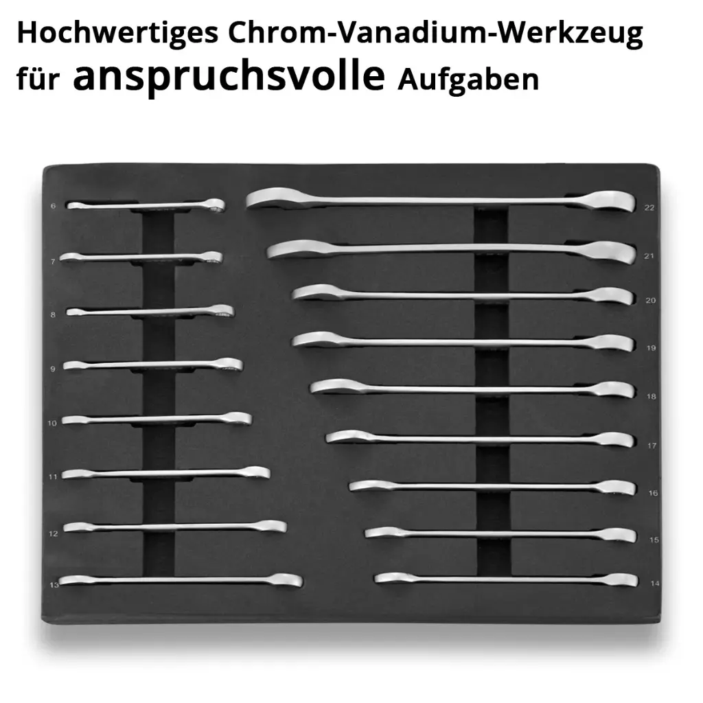 werkzeugeinlage-17-teiliger-schraubenschluessel-satz-6-22~2.webp