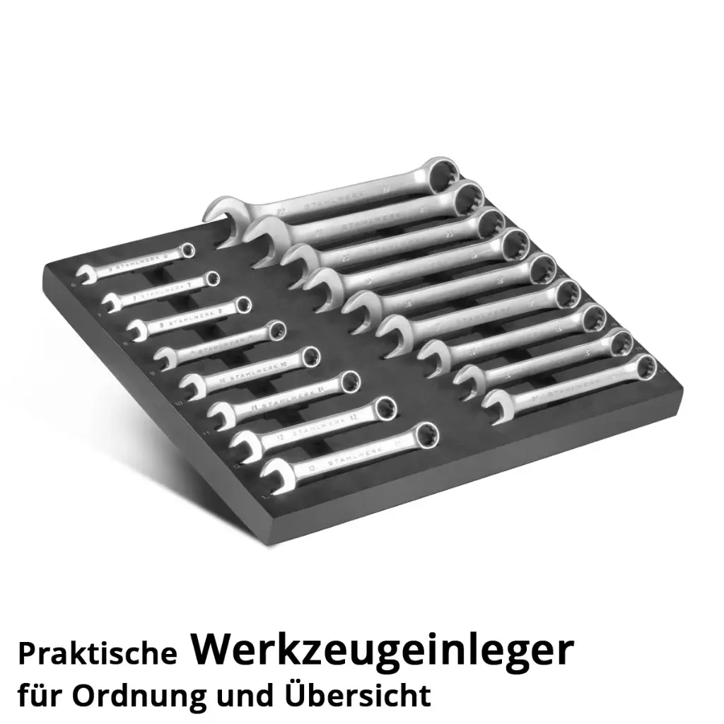 werkzeugeinlage-17-teiliger-schraubenschluessel-satz-6-22~3.webp